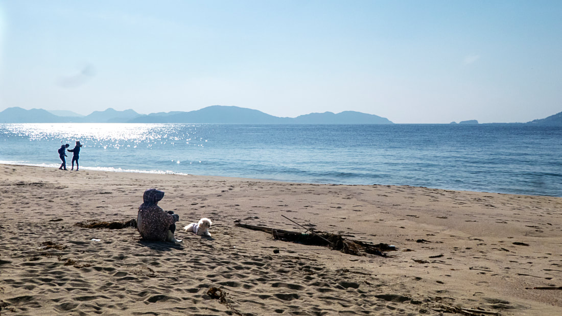 An old woman and her dog sitting on a sandbeach on a sunny day, facing a quiet sea. Shikashima, Japan.